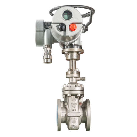 Gate Valves Manufacturer