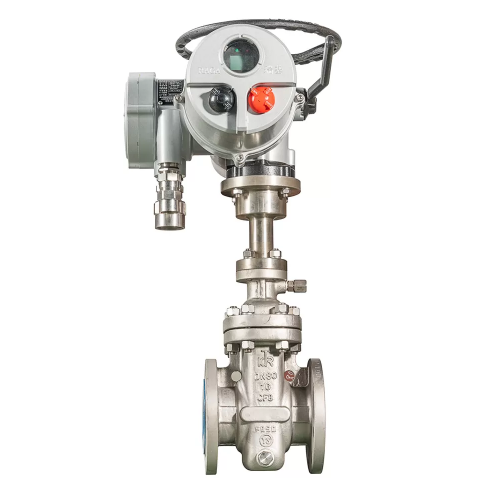 stainless Steel electric flat gate valve for sale