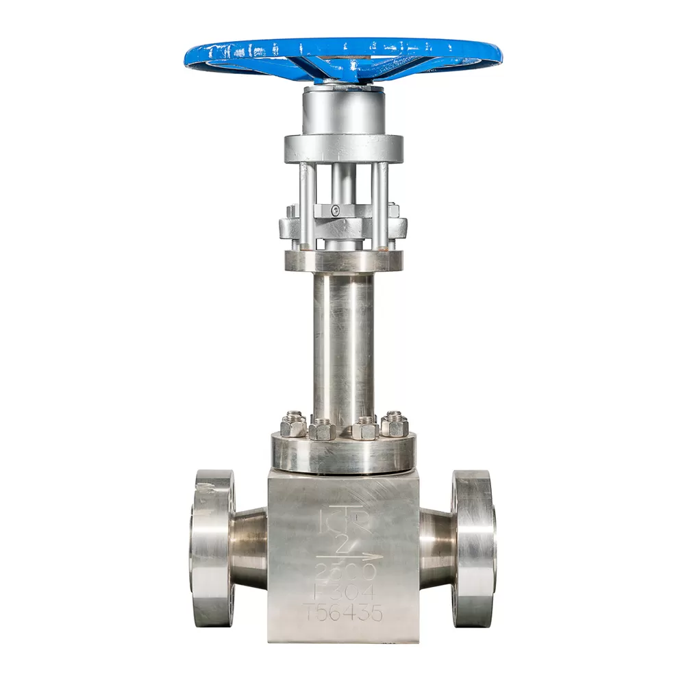 Stainless Steel Cryogenic  Globe Valve