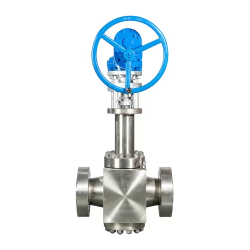 Cryogenic Globe Valve