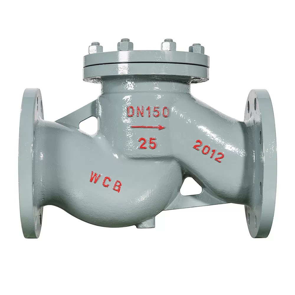 Lift Check Valve