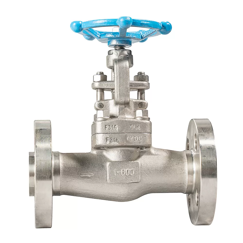 Stainless Steal Flanged Globe Valve