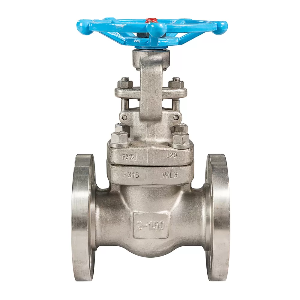 Stainless Steal Flanged Gate Valve