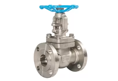 What Is the Use of Stainless Steel Gate Valve?